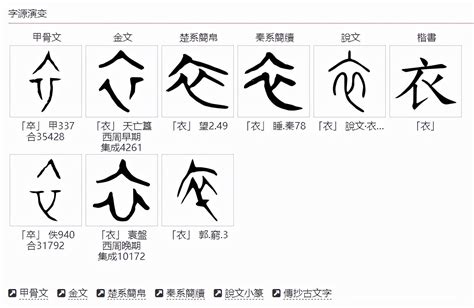 披彩衣意思|什么叫彩衣字？彩衣字形的字有哪些？带有彩衣字根部首的字大全…